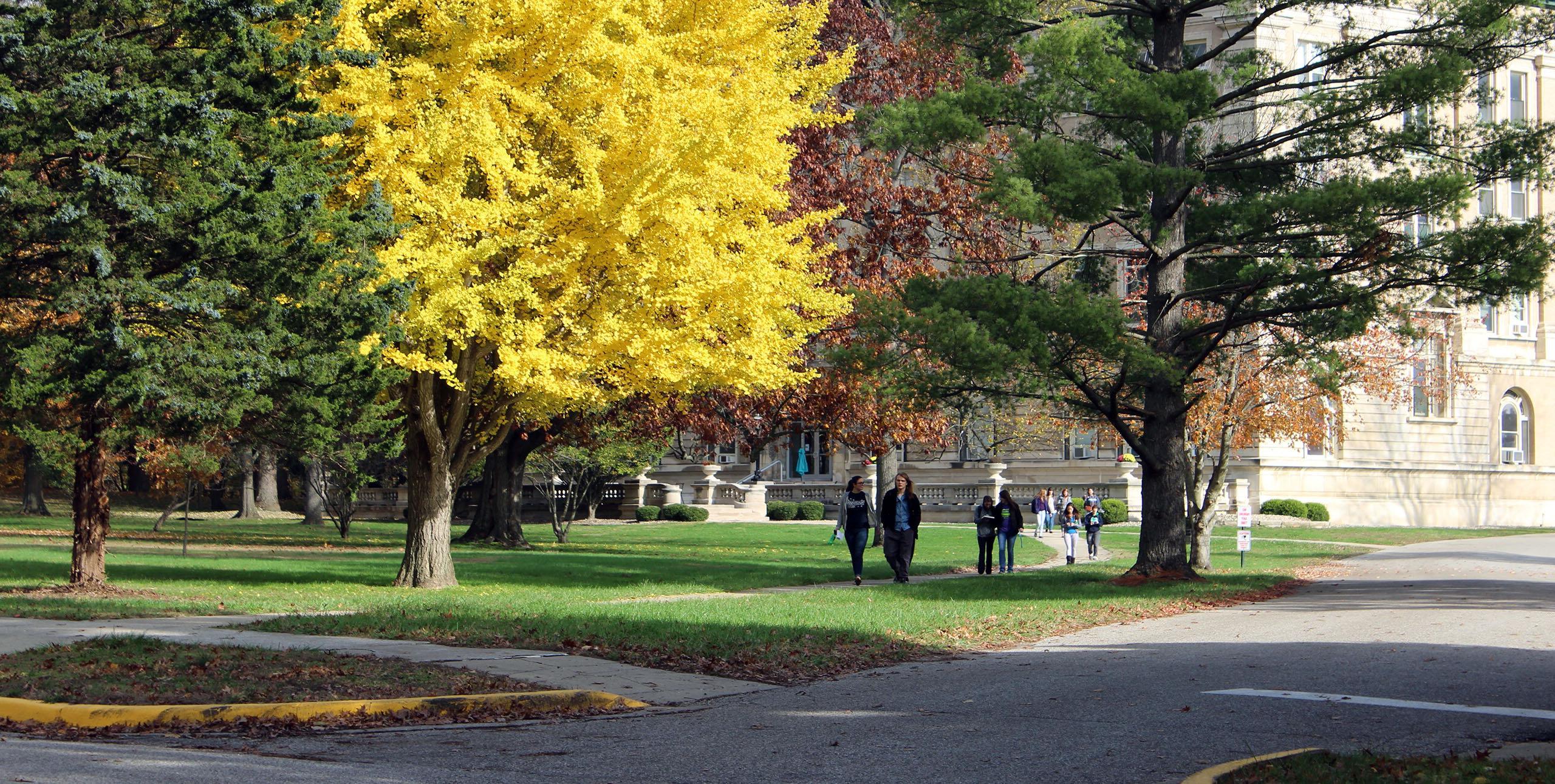 Students walking outside along sidewalk past fall colored trees